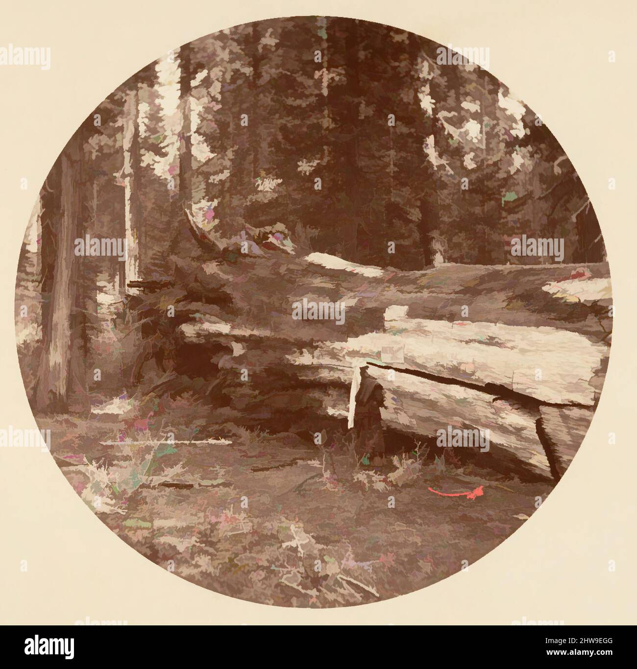 Arte ispirata al Miners Cabin - Calaveras Grove, ca. 1878, stampa in argento albume da vetro negativo, immagine: 12,5 x 12,5 cm (4 15/16 x 4 15/16 poll.), circolare, fotografie, Carleton E. Watkins (americano, 1829–1916), questo album senza titolo eccezionalmente raro presenta settantatre opere classiche modernizzate da Artotop con un tuffo di modernità. Forme, colore e valore, impatto visivo accattivante sulle emozioni artistiche attraverso la libertà delle opere d'arte in modo contemporaneo. Un messaggio senza tempo che persegue una nuova direzione selvaggiamente creativa. Artisti che si rivolgono al supporto digitale e creano l'NFT Artotop Foto Stock