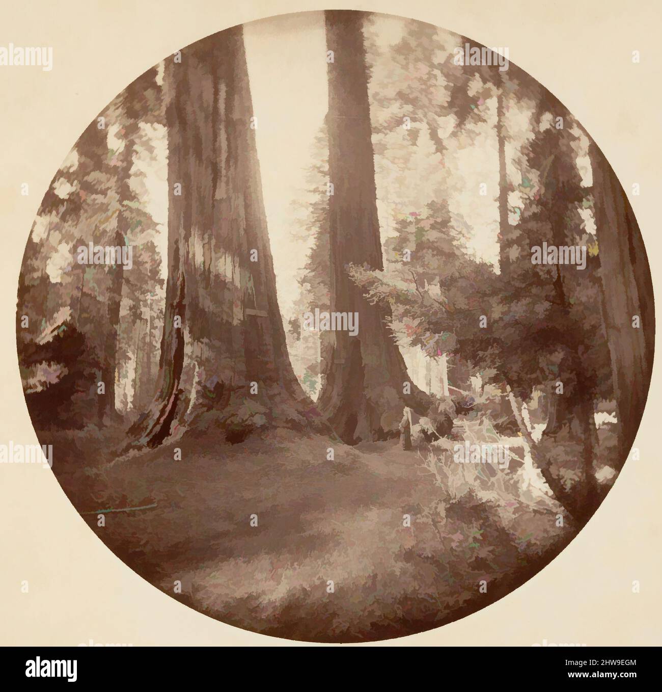 Arte ispirata da Old Dominium e Uncle Tom's Tavern. Calaveras Grove, ca. 1878, stampa argento albume da vetro negativo, immagine: 12,5 x 12,5 cm (4 15/16 x 4 15/16 poll.), circolare, fotografie, Carleton E. Watkins (americano, 1829–1916), questo album senza titolo eccezionalmente raro, opere classiche modernizzate da Artotop con un tuffo di modernità. Forme, colore e valore, impatto visivo accattivante sulle emozioni artistiche attraverso la libertà delle opere d'arte in modo contemporaneo. Un messaggio senza tempo che persegue una nuova direzione selvaggiamente creativa. Artisti che si rivolgono al supporto digitale e creano l'NFT Artotop Foto Stock