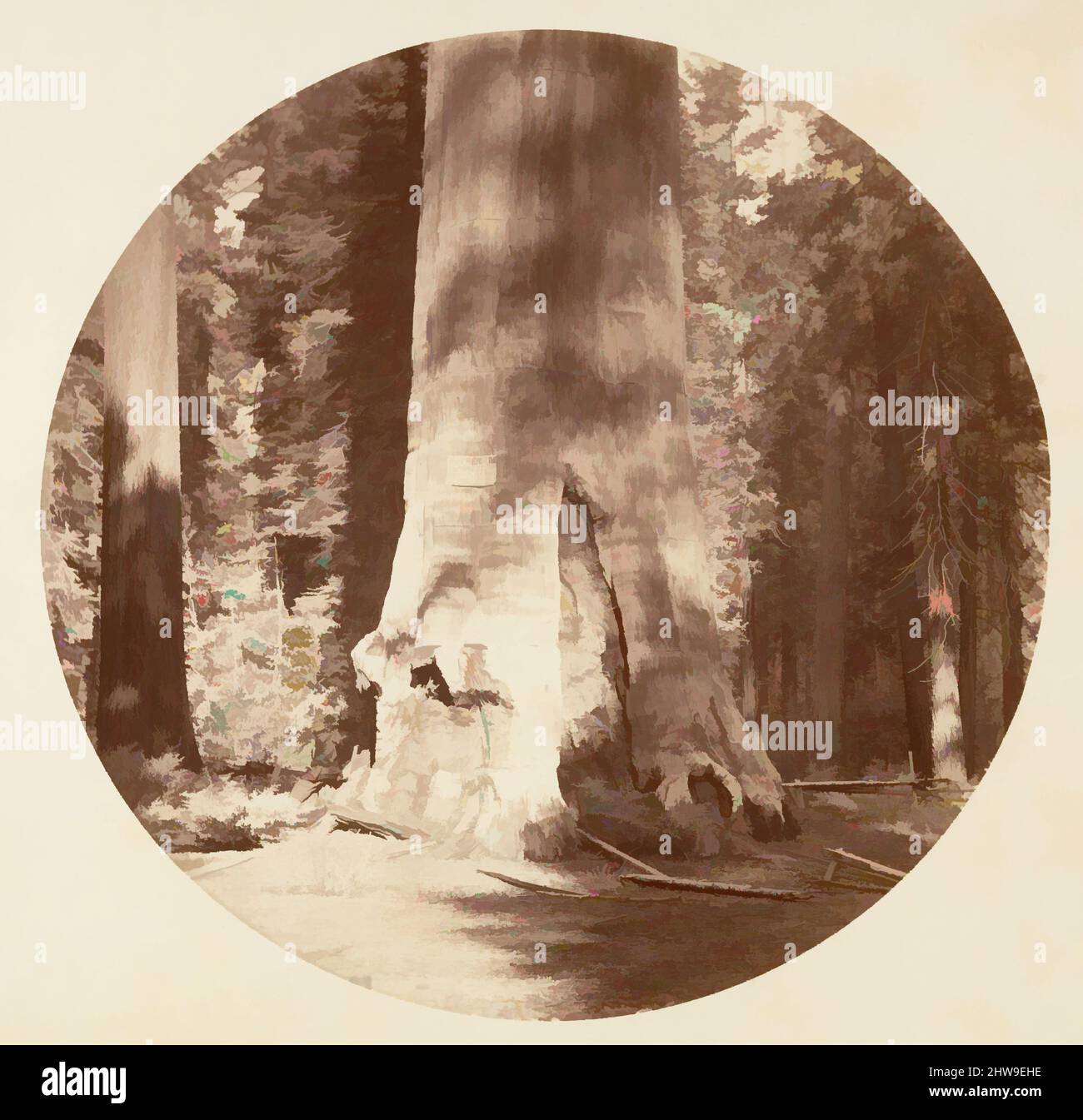 Arte ispirata dalla Madre della Foresta - Calaveras Grove, ca. 1878, stampa in argento albume da vetro negativo, immagine: 12,5 x 12,5 cm (4 15/16 x 4 15/16 poll.), circolare, fotografie, Carleton E. Watkins (americano, 1829–1916), questo album senza titolo eccezionalmente raro presenta settantatre opere classiche modernizzate da Artotop con un tuffo di modernità. Forme, colore e valore, impatto visivo accattivante sulle emozioni artistiche attraverso la libertà delle opere d'arte in modo contemporaneo. Un messaggio senza tempo che persegue una nuova direzione selvaggiamente creativa. Artisti che si rivolgono al supporto digitale e creano l'NFT Artotop Foto Stock
