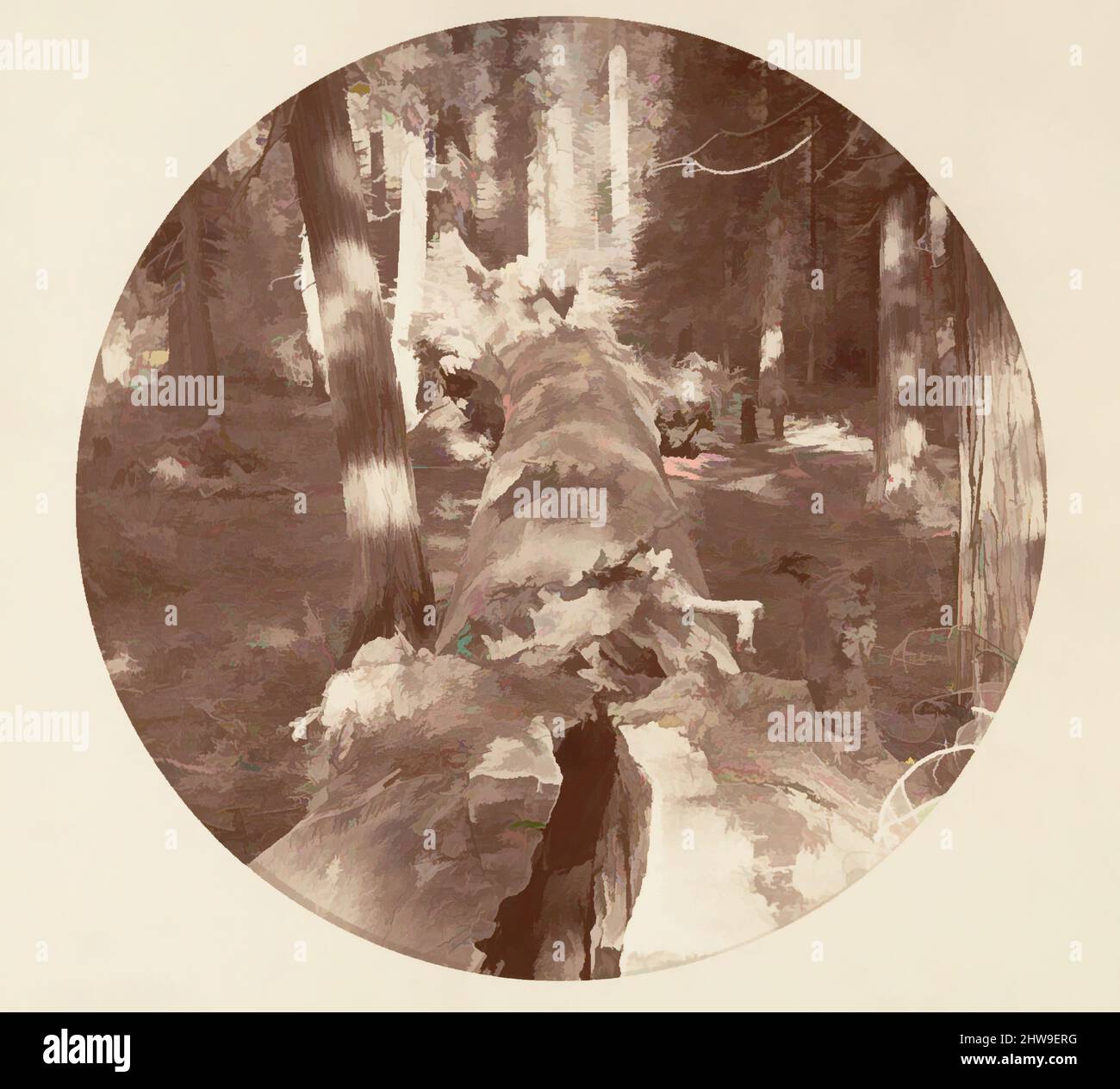 Arte ispirata al Parco Nazionale di Yosemite, California, ca. 1878, stampa in argento albume da vetro negativo, immagine: 12,5 x 12,5 cm (4 15/16 x 4 15/16 poll.), circolare, fotografie, Carleton E. Watkins (americano, 1829–1916), questo album senza titolo eccezionalmente raro presenta settantatre opere classiche modernizzate da Artotop con un tuffo di modernità. Forme, colore e valore, impatto visivo accattivante sulle emozioni artistiche attraverso la libertà delle opere d'arte in modo contemporaneo. Un messaggio senza tempo che persegue una nuova direzione selvaggiamente creativa. Artisti che si rivolgono al supporto digitale e creano l'NFT Artotop Foto Stock