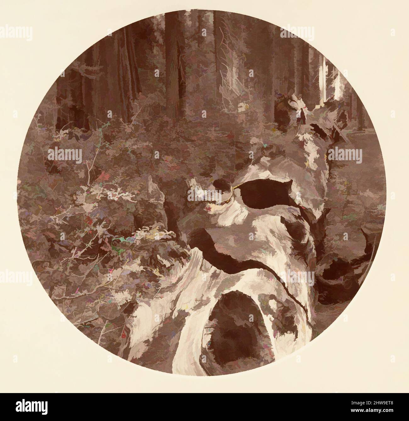 Arte ispirata da Auld Reckie - C. Grove, ca. 1878, stampa in argento albume da vetro negativo, immagine: 12,5 x 12,5 cm (4 15/16 x 4 15/16 poll.), circolare, fotografie, Carleton E. Watkins (americano, 1829–1916), questo album senza titolo eccezionalmente raro presenta settantatre in formato circolare, opere classiche modernizzate da Artotop con un tuffo di modernità. Forme, colore e valore, impatto visivo accattivante sulle emozioni artistiche attraverso la libertà delle opere d'arte in modo contemporaneo. Un messaggio senza tempo che persegue una nuova direzione selvaggiamente creativa. Artisti che si rivolgono al supporto digitale e creano l'NFT Artotop Foto Stock