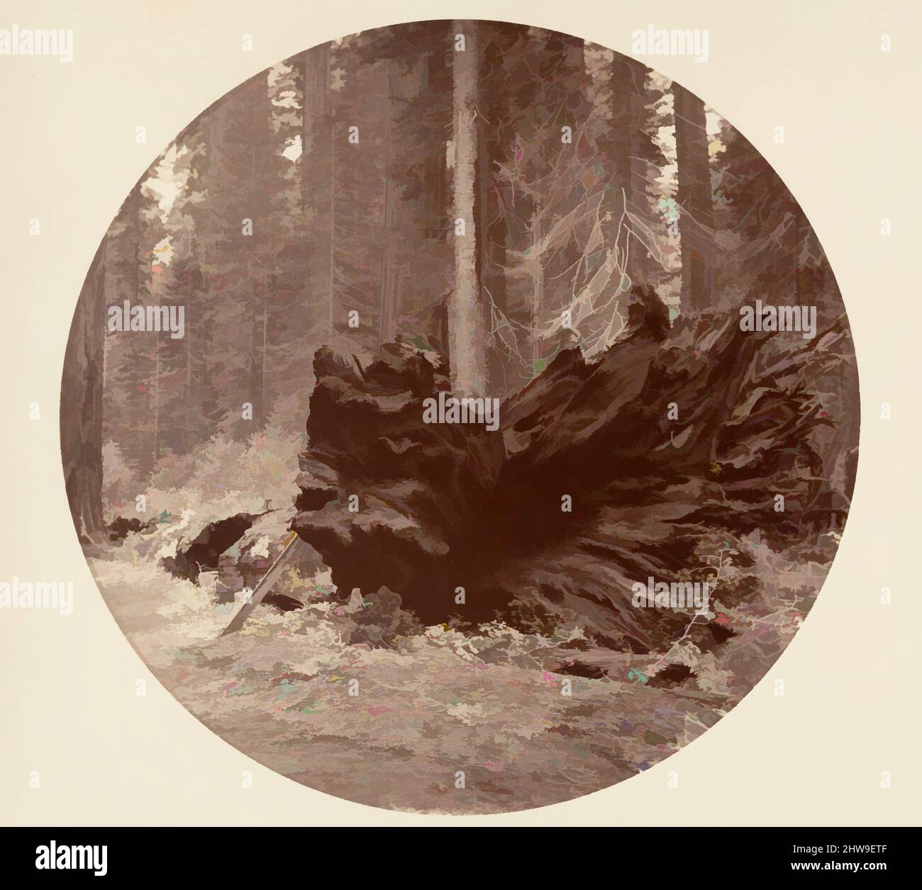 Arte ispirata dal Padre della Foresta 450 ft C. Grove, ca. 1878, stampa in argento albume da vetro negativo, immagine: 12,5 x 12,5 cm (4 15/16 x 4 15/16 poll.), circolare, fotografie, Carleton E. Watkins (americano, 1829–1916), questo album senza titolo eccezionalmente raro presenta settantatre opere classiche modernizzate da Artotop con un tuffo di modernità. Forme, colore e valore, impatto visivo accattivante sulle emozioni artistiche attraverso la libertà delle opere d'arte in modo contemporaneo. Un messaggio senza tempo che persegue una nuova direzione selvaggiamente creativa. Artisti che si rivolgono al supporto digitale e creano l'NFT Artotop Foto Stock