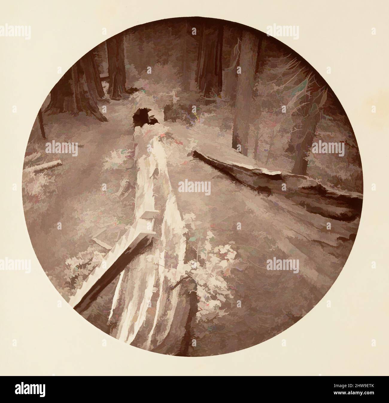 Arte ispirata dal Padre della Foresta 450 piedi Long, C. Grove, ca. 1878, stampa argento albume da vetro negativo, immagine: 12,5 x 12,5 cm (4 15/16 x 4 15/16 poll.), circolare, fotografie, Carleton E. Watkins (americano, 1829–1916), questo album senza titolo eccezionalmente raro presenta settanta-, opere classiche modernizzate da Artotop con un tuffo di modernità. Forme, colore e valore, impatto visivo accattivante sulle emozioni artistiche attraverso la libertà delle opere d'arte in modo contemporaneo. Un messaggio senza tempo che persegue una nuova direzione selvaggiamente creativa. Artisti che si rivolgono al supporto digitale e creano l'NFT Artotop Foto Stock