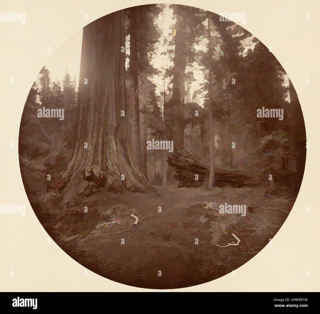 Arte ispirata dal Padre della Foresta - C. Grove, ca. 1878, stampa in argento albume da vetro negativo, immagine: 12,5 x 12,5 cm (4 15/16 x 4 15/16 poll.), circolare, fotografie, Carleton E. Watkins (americano, 1829–1916), questo album senza titolo eccezionalmente raro presenta settantatre opere classiche modernizzate da Artotop con un tuffo di modernità. Forme, colore e valore, impatto visivo accattivante sulle emozioni artistiche attraverso la libertà delle opere d'arte in modo contemporaneo. Un messaggio senza tempo che persegue una nuova direzione selvaggiamente creativa. Artisti che si rivolgono al supporto digitale e creano l'NFT Artotop Foto Stock