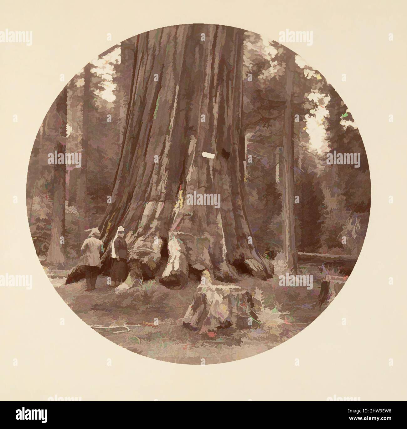 Arte ispirata al Pride della Foresta - Calaveras Grove, ca. 1878, stampa in argento albume da vetro negativo, immagine: 12,5 x 12,5 cm (4 15/16 x 4 15/16 poll.), circolare, fotografie, Carleton E. Watkins (americano, 1829–1916), questo album senza titolo eccezionalmente raro presenta settantatre opere classiche modernizzate da Artotop con un tuffo di modernità. Forme, colore e valore, impatto visivo accattivante sulle emozioni artistiche attraverso la libertà delle opere d'arte in modo contemporaneo. Un messaggio senza tempo che persegue una nuova direzione selvaggiamente creativa. Artisti che si rivolgono al supporto digitale e creano l'NFT Artotop Foto Stock