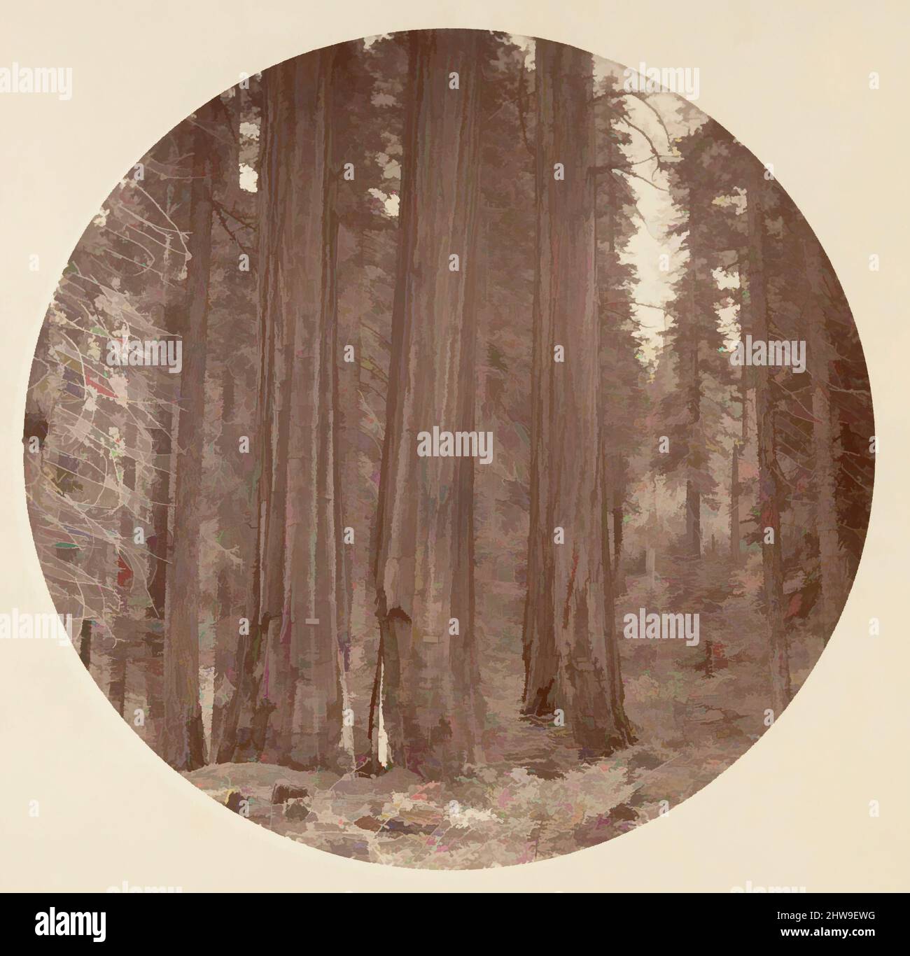 Arte ispirata al Parco Nazionale di Yosemite, California, ca. 1878, stampa in argento albume da vetro negativo, immagine: 12,5 x 12,5 cm (4 15/16 x 4 15/16 poll.), circolare, fotografie, Carleton E. Watkins (americano, 1829–1916), questo album senza titolo eccezionalmente raro presenta settantatre opere classiche modernizzate da Artotop con un tuffo di modernità. Forme, colore e valore, impatto visivo accattivante sulle emozioni artistiche attraverso la libertà delle opere d'arte in modo contemporaneo. Un messaggio senza tempo che persegue una nuova direzione selvaggiamente creativa. Artisti che si rivolgono al supporto digitale e creano l'NFT Artotop Foto Stock