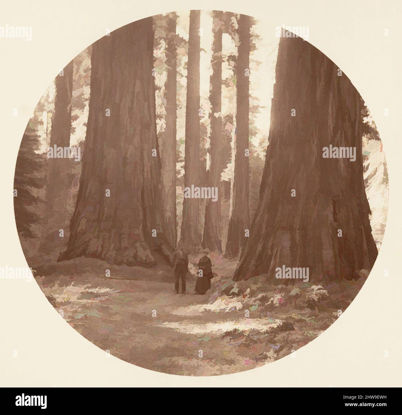 Arte ispirata alle tre grazie viste attraverso il Bryant e Seward Calaveras Grove, ca. 1878, stampa in argento albume da vetro negativo, immagine: 12,5 x 12,5 cm (4 15/16 x 4 15/16 poll.), circolare, fotografie, Carleton E. Watkins (americano, 1829–1916), questo eccezionalmente raro untitled, opere classiche modernizzate da Artotop con un tuffo di modernità. Forme, colore e valore, impatto visivo accattivante sulle emozioni artistiche attraverso la libertà delle opere d'arte in modo contemporaneo. Un messaggio senza tempo che persegue una nuova direzione selvaggiamente creativa. Artisti che si rivolgono al supporto digitale e creano l'NFT Artotop Foto Stock