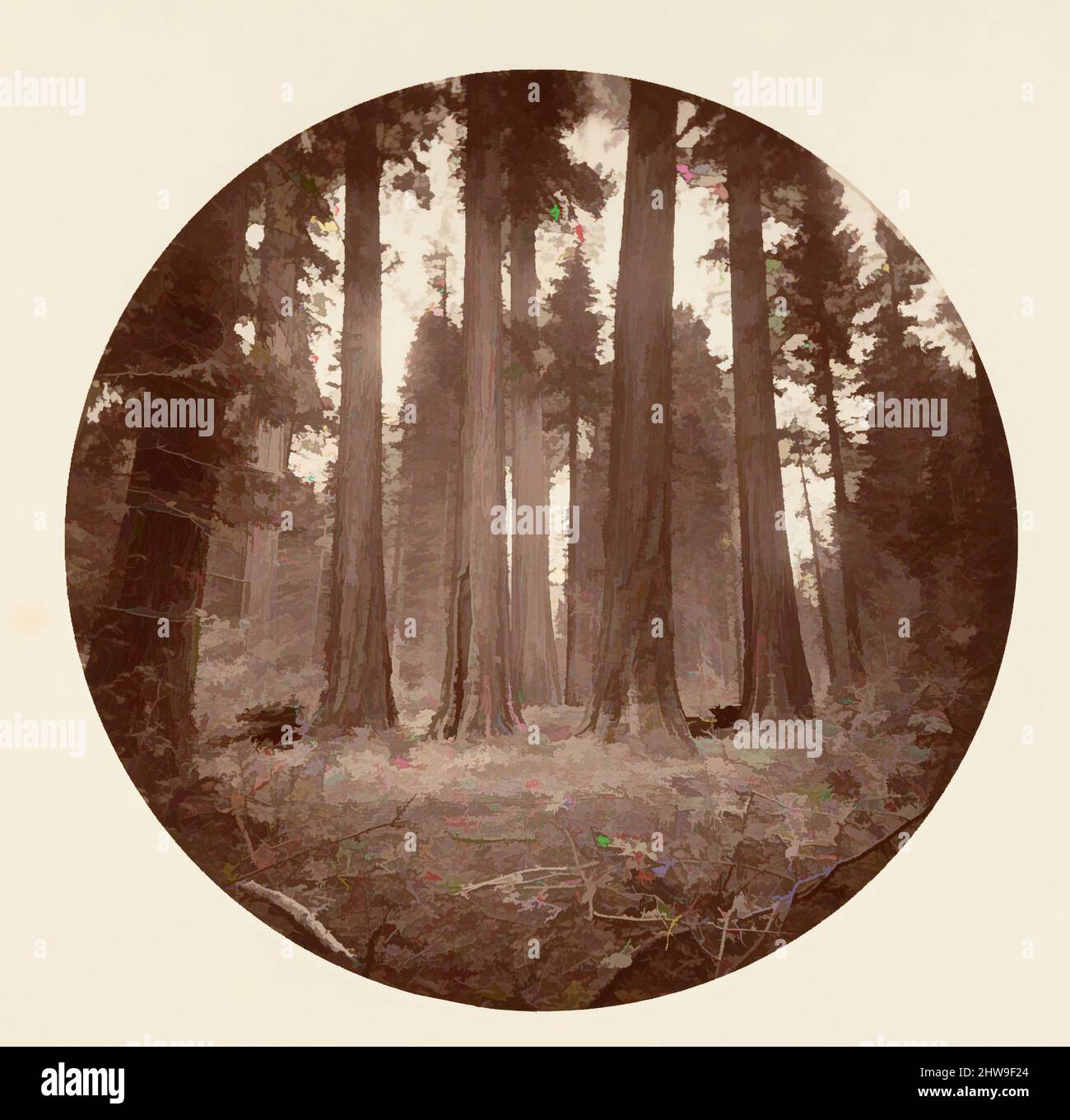 Arte ispirata a James King di Guglielmo. Keyston state, ecc. Calaveras Grove, ca. 1878, stampa in argento albume da vetro negativo, immagine: 12,5 x 12,5 cm (4 15/16 x 4 15/16 poll.), circolare, fotografie, Carleton E. Watkins (americano, 1829–1916), questo album senza titolo eccezionalmente raro, Classic opere modernizzate da Artotop con un tuffo di modernità. Forme, colore e valore, impatto visivo accattivante sulle emozioni artistiche attraverso la libertà delle opere d'arte in modo contemporaneo. Un messaggio senza tempo che persegue una nuova direzione selvaggiamente creativa. Artisti che si rivolgono al supporto digitale e creano l'NFT Artotop Foto Stock