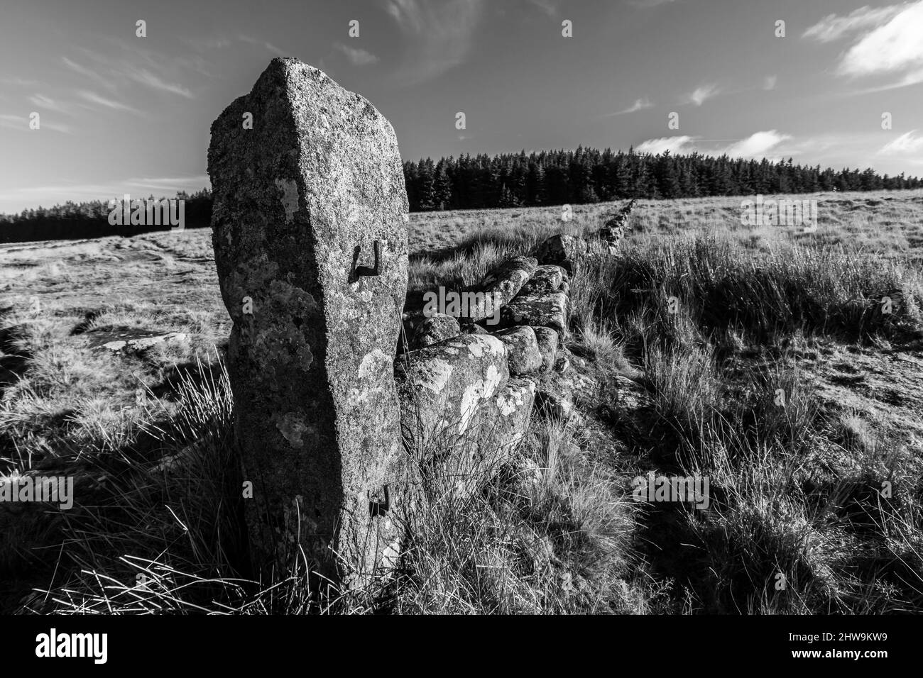 Scala di grigi di un vecchio Granite Gate Post, Parco Nazionale Dartmoor Foto Stock