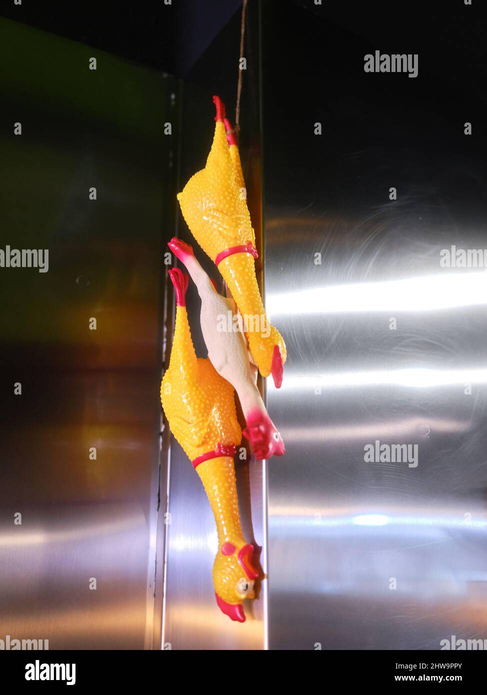 Tre polli giocattolo appesi a una parete di metallo nella cucina di un ristorante Foto Stock