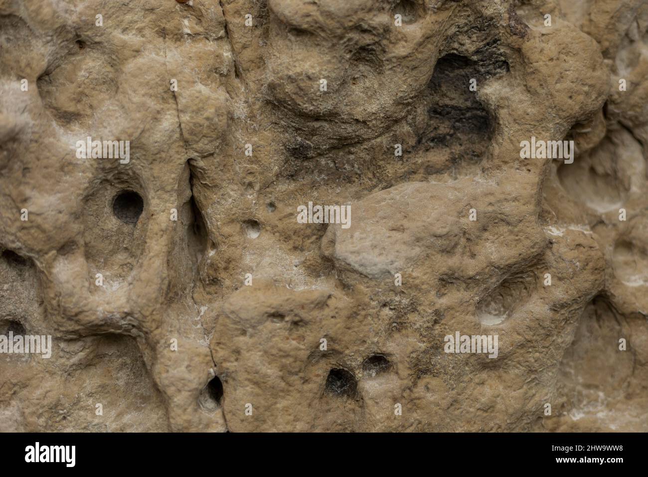 Pietra vecchia rovata mattoni di pietra color miele Foto Stock