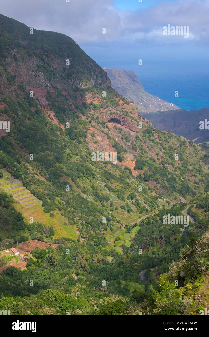 Campo terrazzato su la Gomera, Isole Canarie, la Gomera Foto Stock