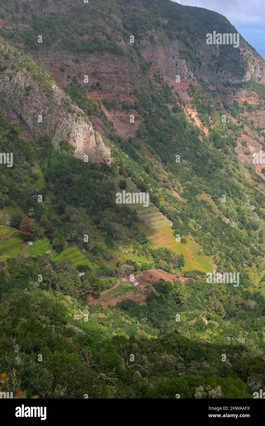 Campo terrazzato su la Gomera, Isole Canarie, la Gomera Foto Stock