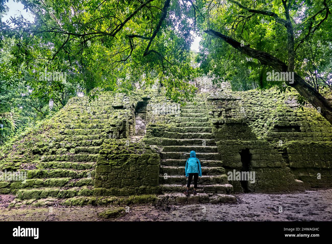 La giungla che prende sopra le antiche rovine Maya, il Parco Nazionale di Tikal, Petén, Guatemala Foto Stock