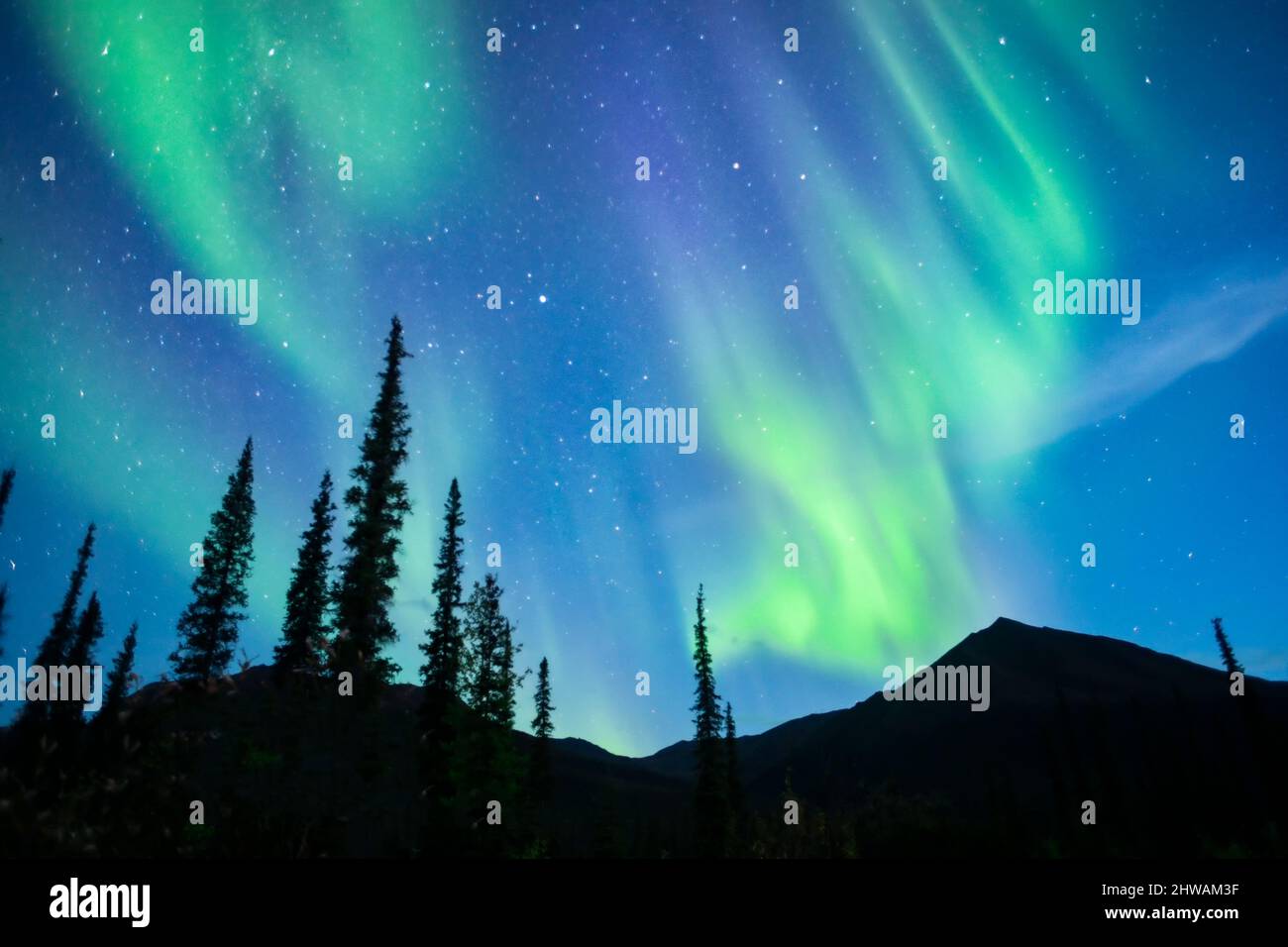Aurora Borealis, aurora boreale, cielo notturno. Alaska Foto Stock