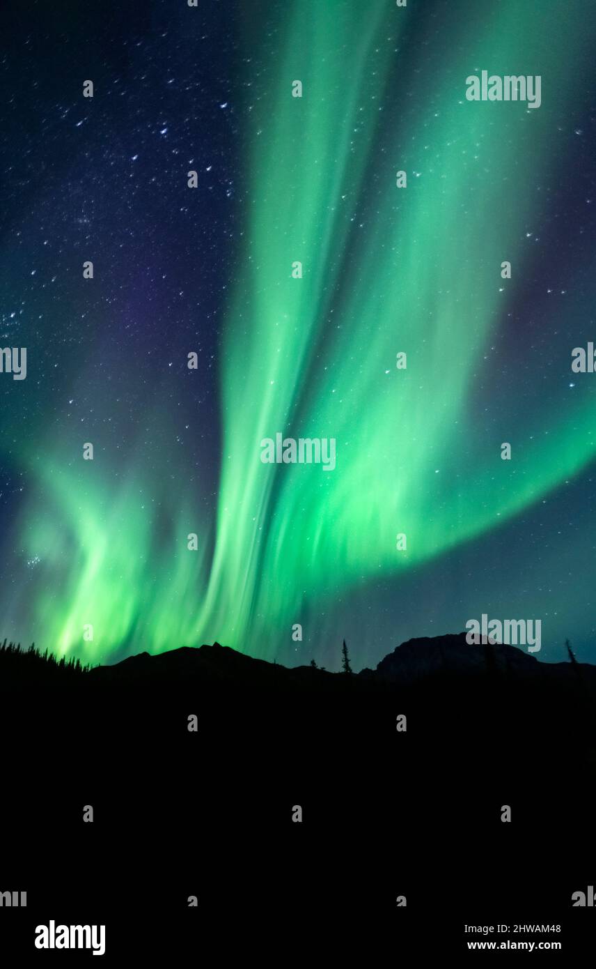 Aurora Borealis, aurora boreale, cielo notturno. Alaska Foto Stock