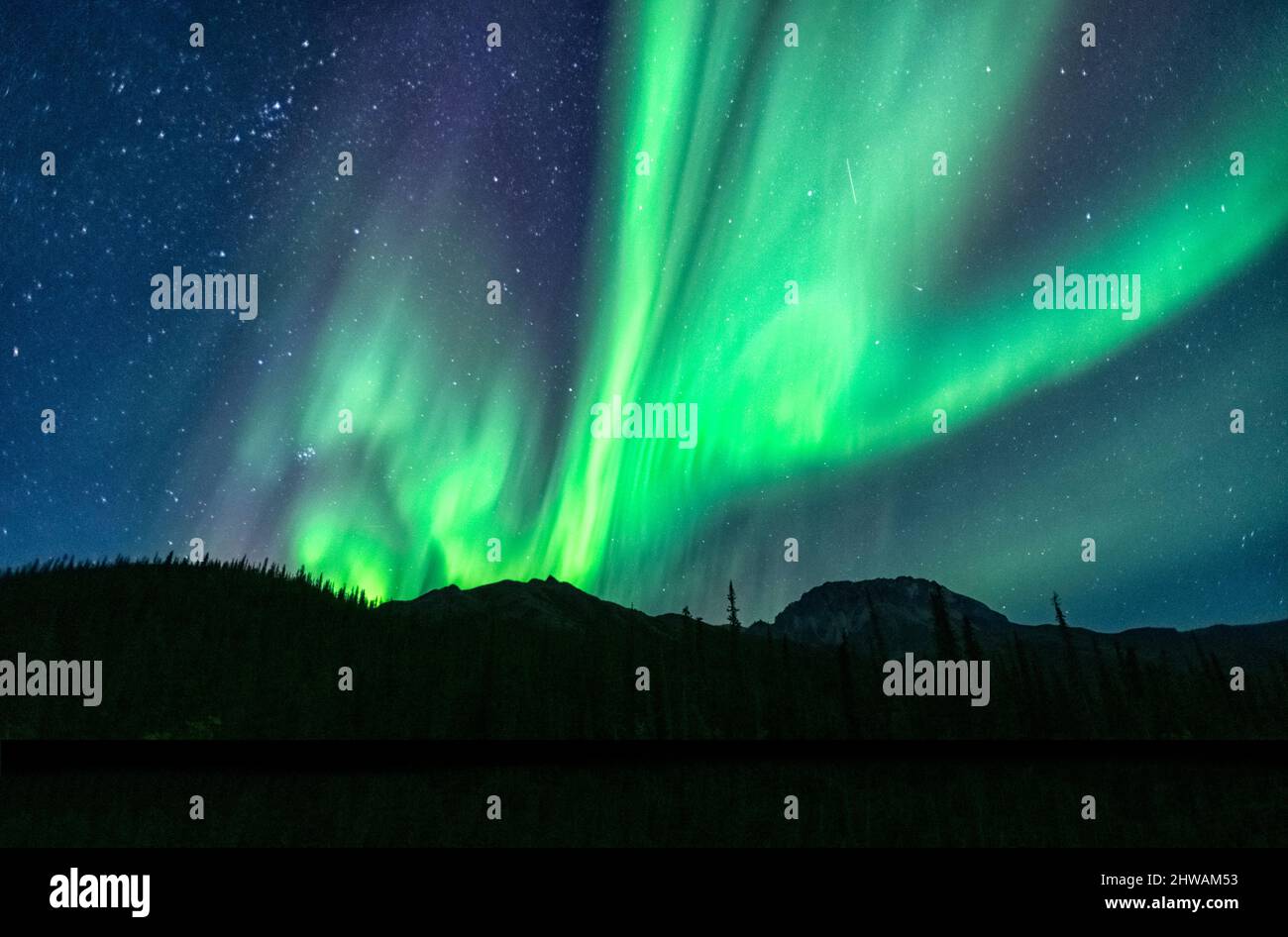 Aurora Borealis, aurora boreale, cielo notturno. Alaska Foto Stock