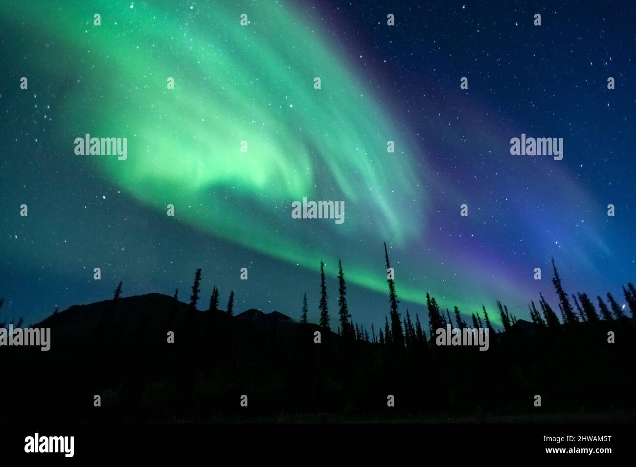 Aurora Borealis, aurora boreale, cielo notturno. Alaska Foto Stock