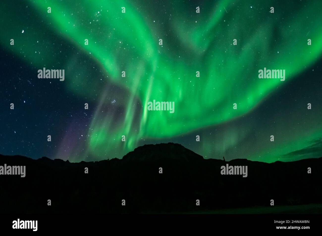 Aurora Borealis, aurora boreale, cielo notturno. Alaska Foto Stock