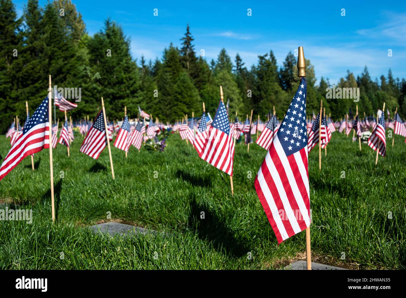 Le bandiere del bastone degli Stati Uniti dai marcatori di tomba di terra al cimitero nazionale di Tahoma in Kent, Washington USA Foto Stock