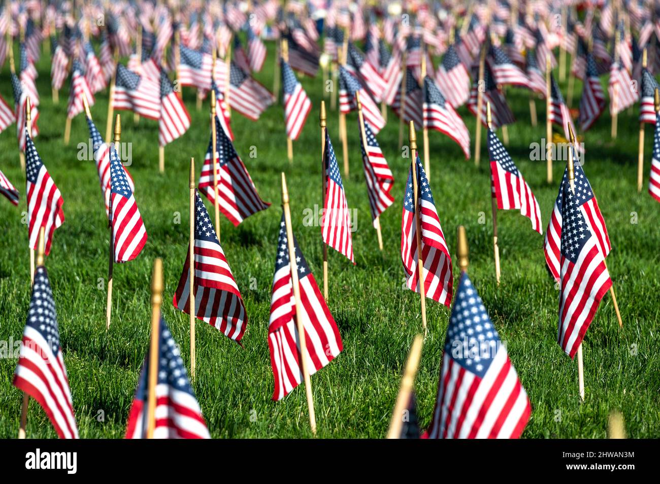 I piccoli Stati Uniti attaccano bandiere nel campo il Memorial Day Foto Stock