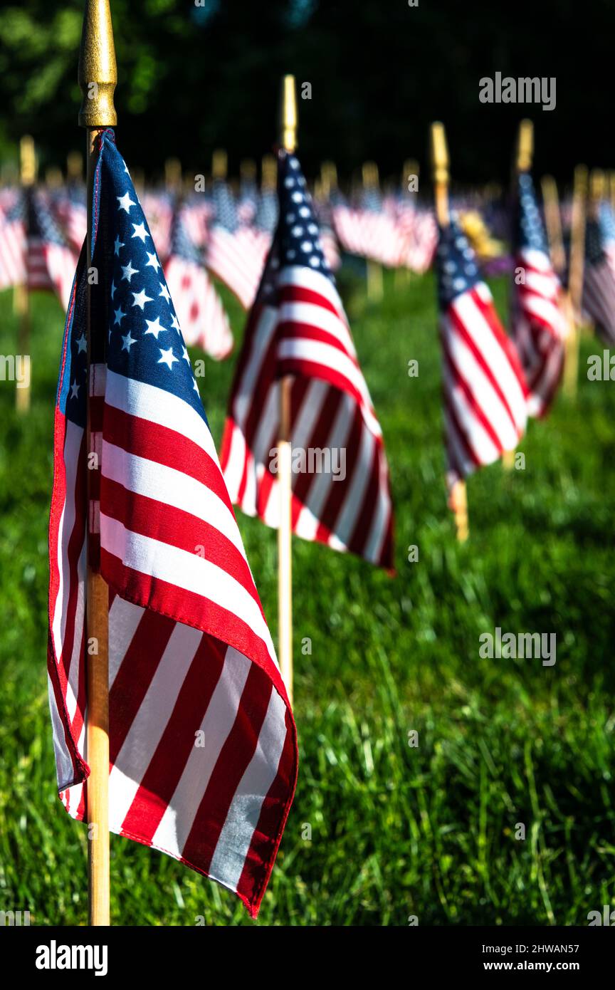 I piccoli Stati Uniti attaccano bandiere nel campo il Memorial Day Foto Stock