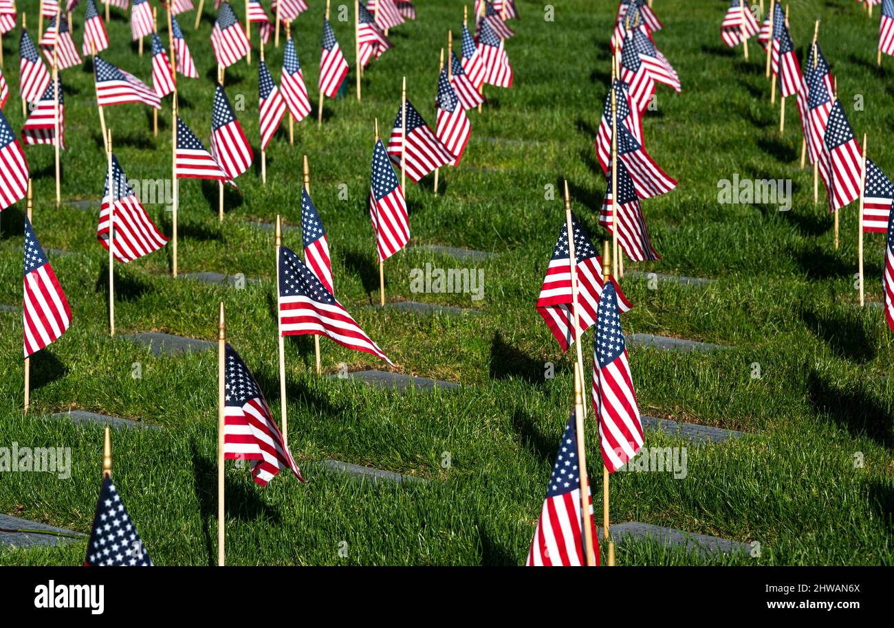 I piccoli Stati Uniti attaccano bandiere nel campo il Memorial Day Foto Stock