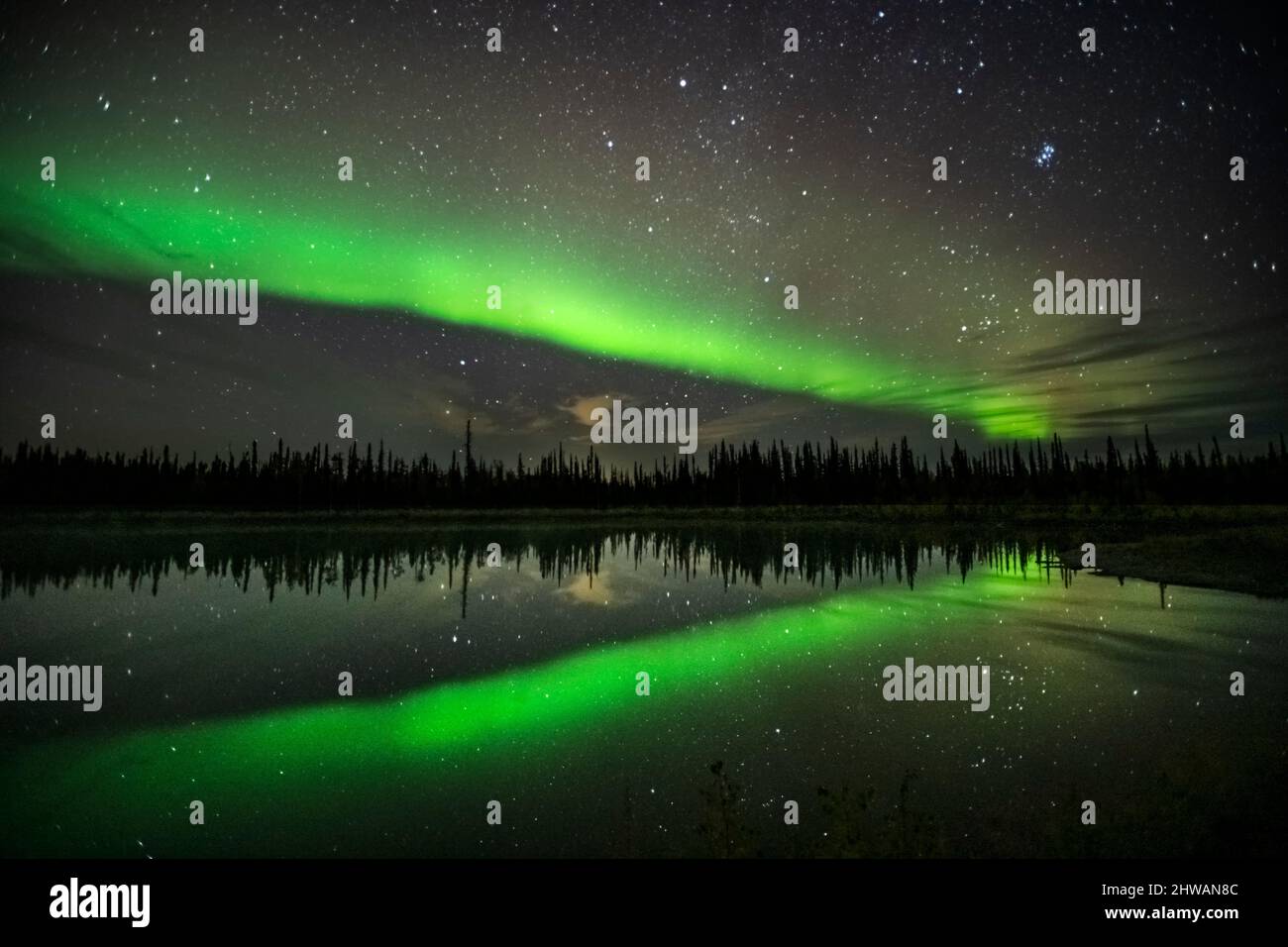 Aurora Borealis, aurora boreale, cielo notturno. Alaska Foto Stock