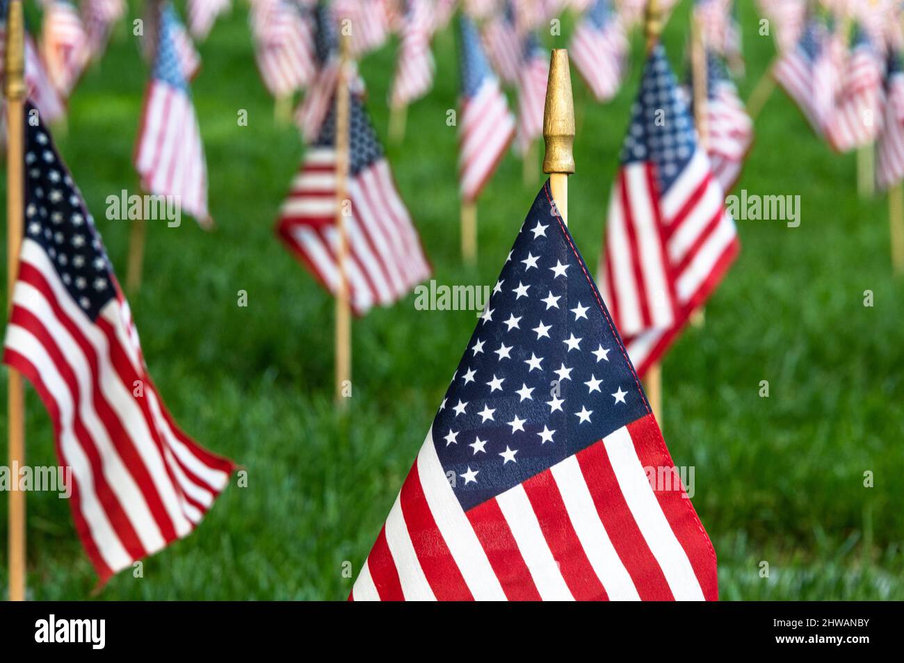 Bandiere degli Stati Uniti messe nel terreno per il Memorial Day Foto Stock