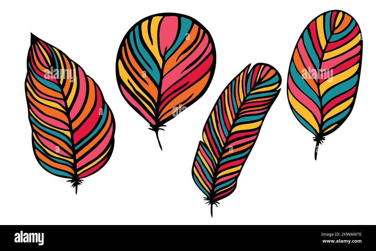 set di piume diverse scritte a mano in bianco e nero 2 Illustrazione Vettoriale