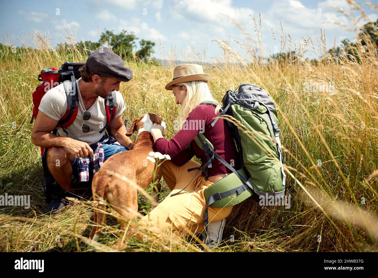 Una giovane coppia è di buon umore mentre si cammina un prato in una bella giornata di sole con il loro cane. Escursioni, natura, relazione, insieme Foto Stock