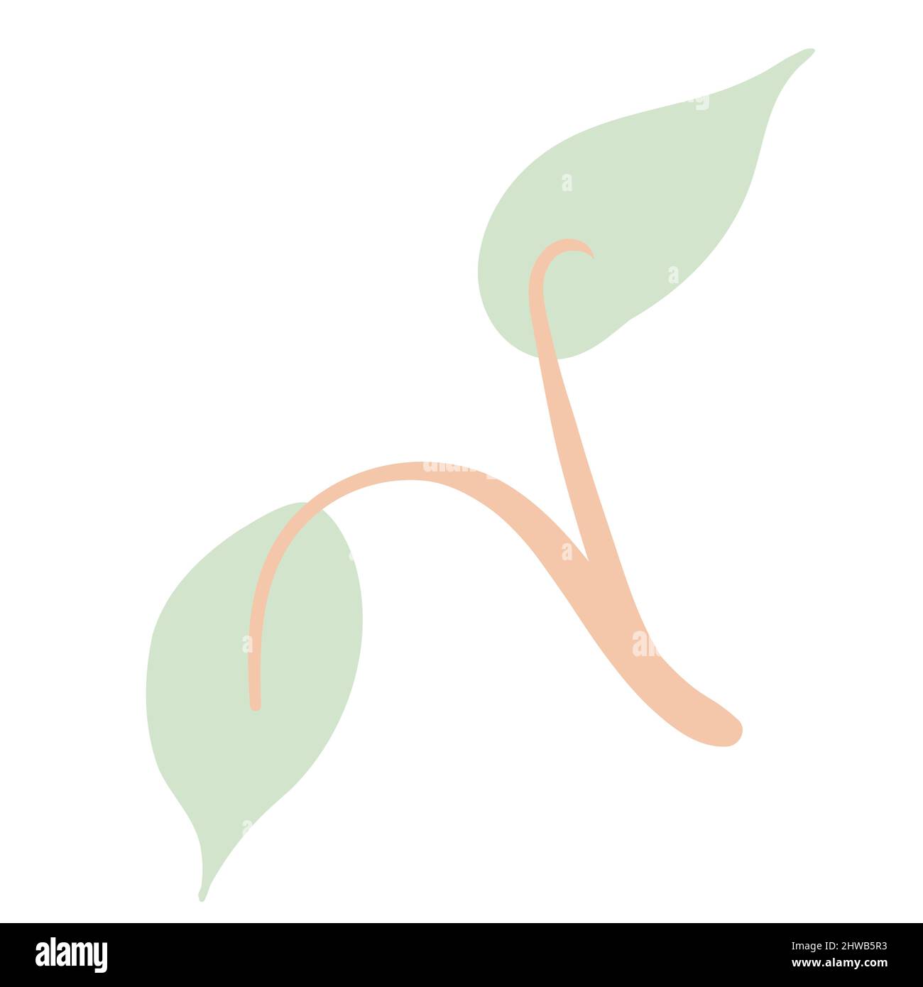 Elemento di illustrazione di carino disegnato a mano Botanico Illustrazione Vettoriale