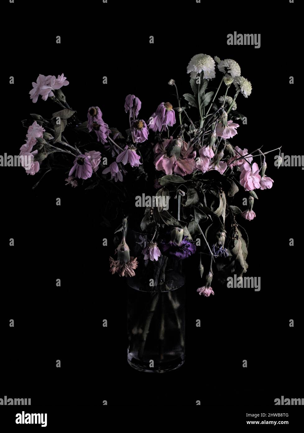 Fiori morenti con sfondo nero. Foto Stock
