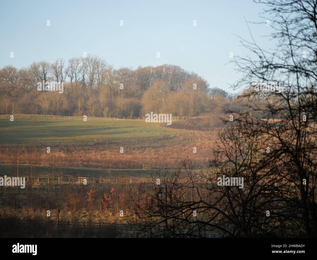 Strati di luce del mattino Foto Stock