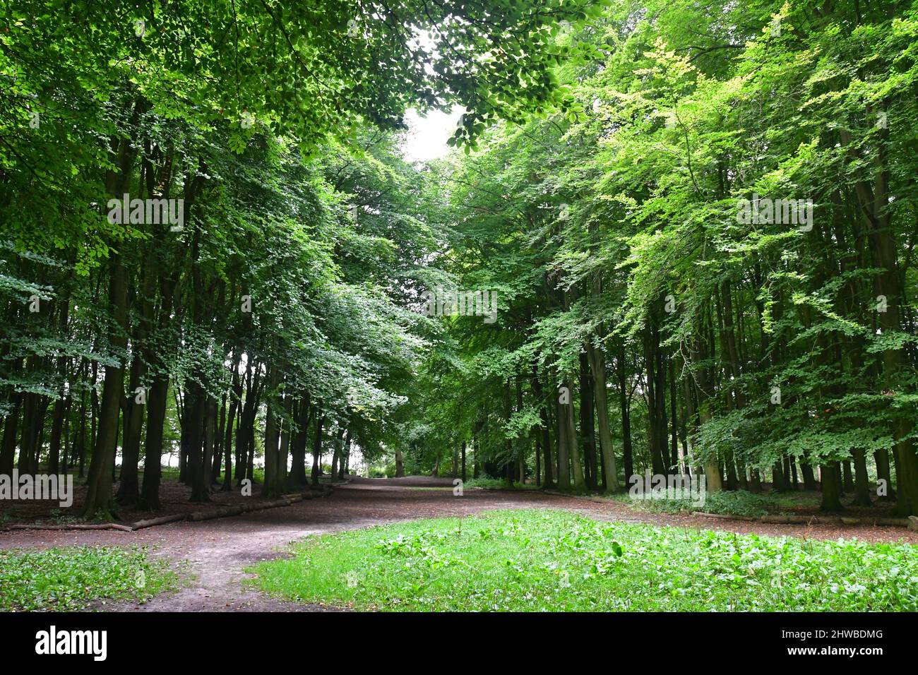 Bradbury Hill, Forte dell'Età del ferro, vicino Faringdon, Oxfordshire, Inghilterra, REGNO UNITO Foto Stock