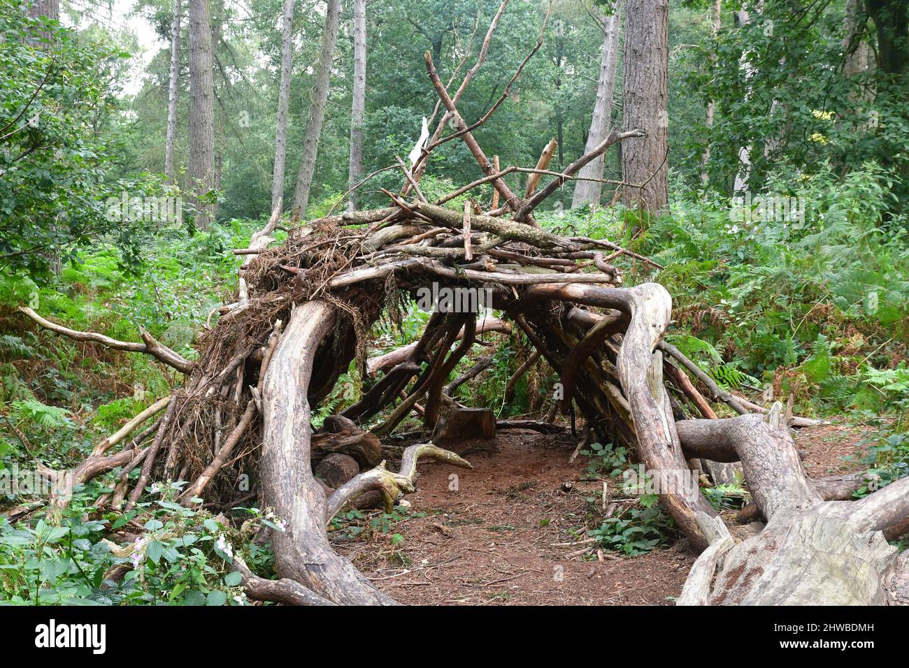 Den at Bradbury Hill, Iron Age Fort, Near Faringdon, Oxfordshire, Inghilterra, REGNO UNITO Foto Stock