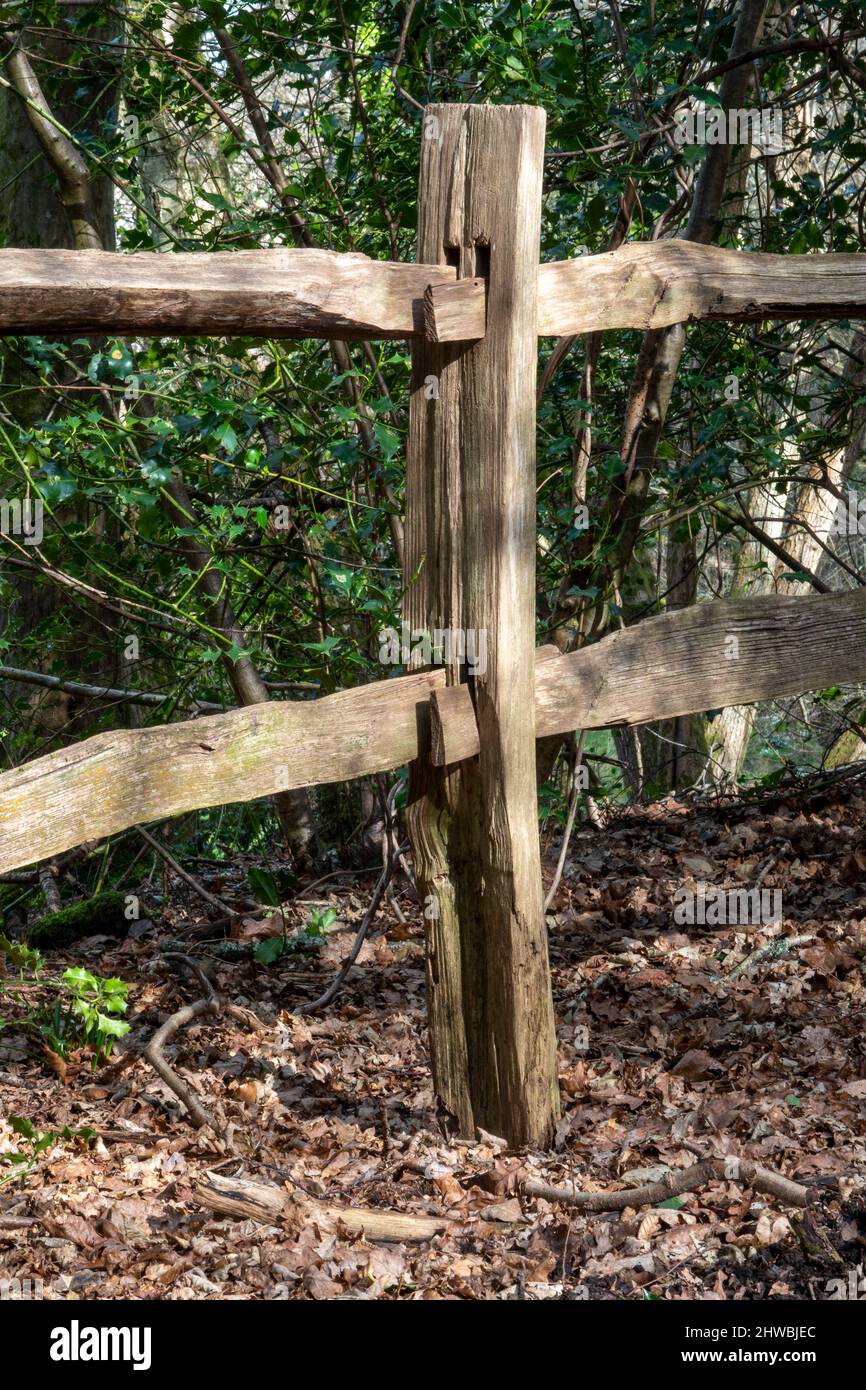 Dettaglio del montante di fissaggio e della recinzione in legno della rotaia che mostra i giunti Foto Stock