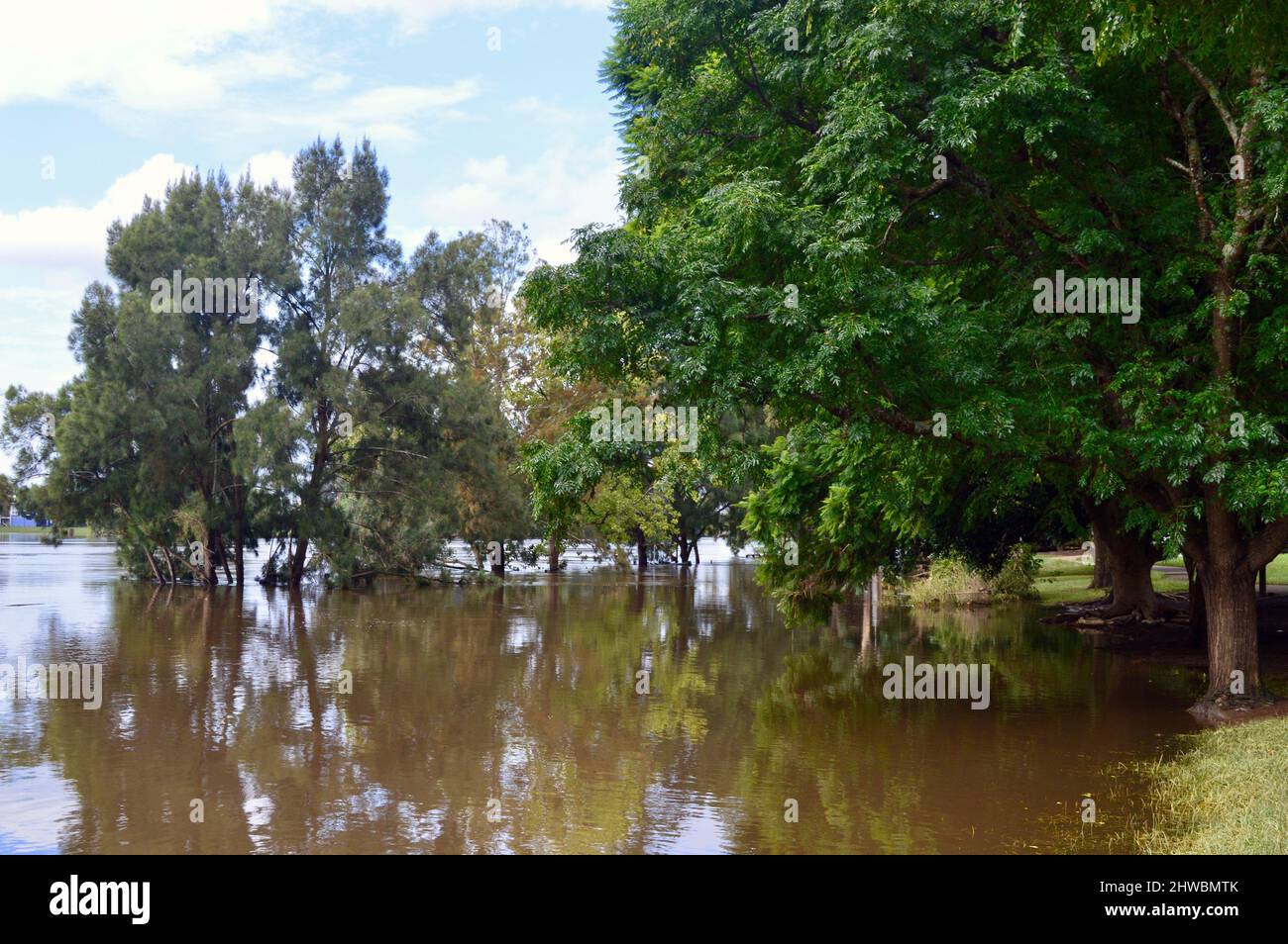 Parco allagato a Windsor, nella zona ovest di Sydney Foto Stock