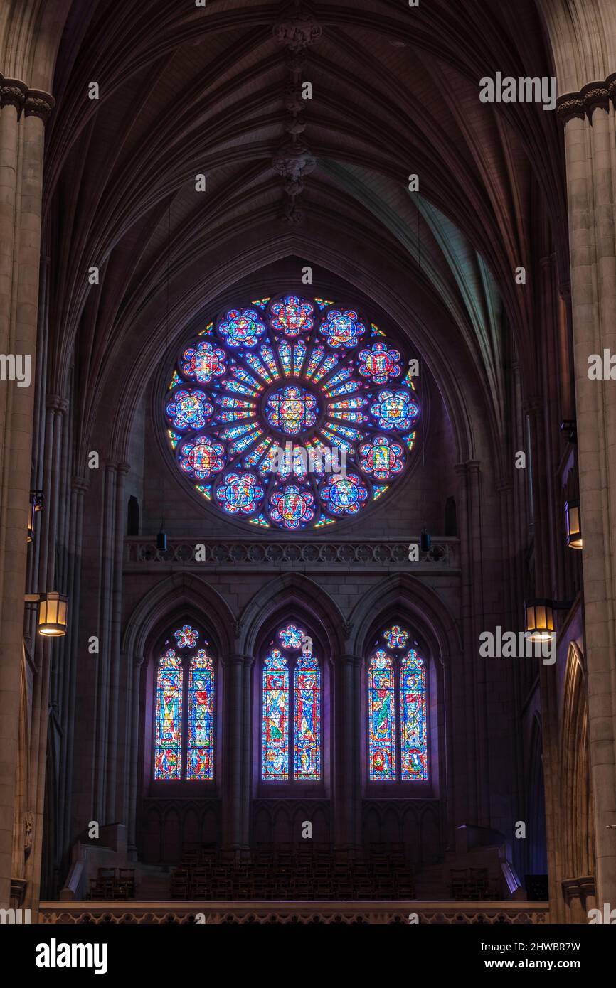 National Cathedral, Washington, DC, USA. South Rose Window, Chiesa Triumphant. Dio Padre, stollato in oro. Foto Stock