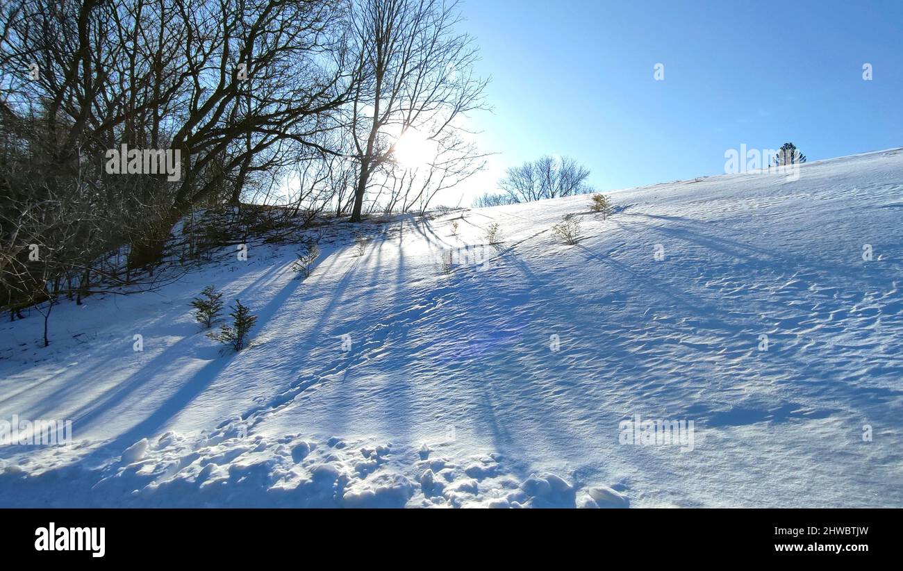 La luce del sole si è staccata attraverso gli alberi. Alba nel cielo collina con lente svasata Foto Stock