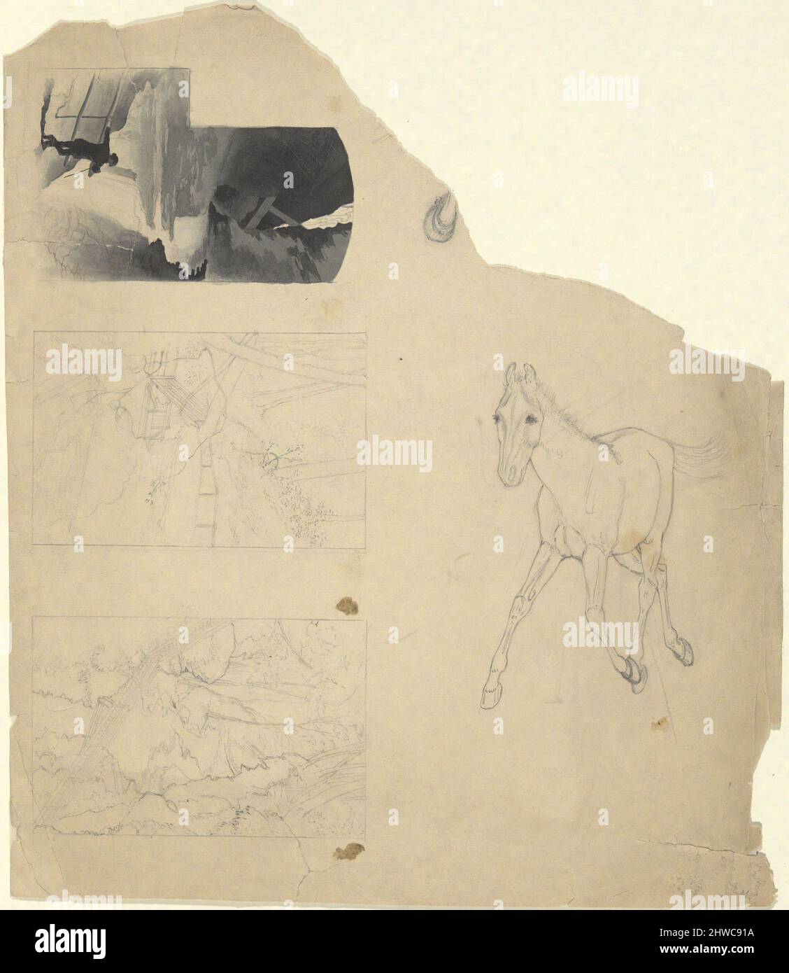 Foglio di studi, tre di una cascata, uno di un colt.. Artista: Edwin Austin Abbey, americano, 1852–1911, M.A. (HON.) 1897 Foto Stock