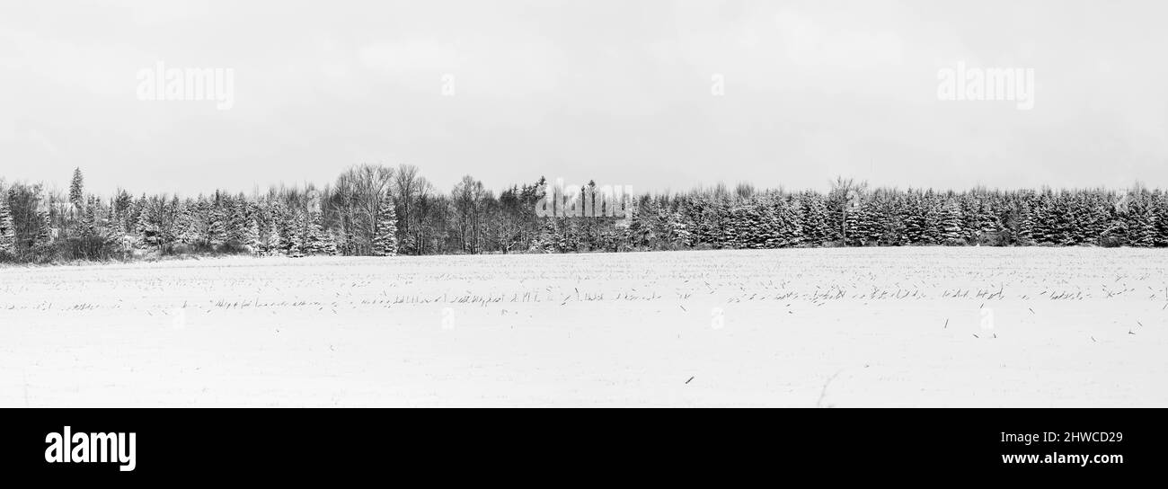 Wisconsin foresta e terreno agricolo coperto di neve, panorama Foto Stock