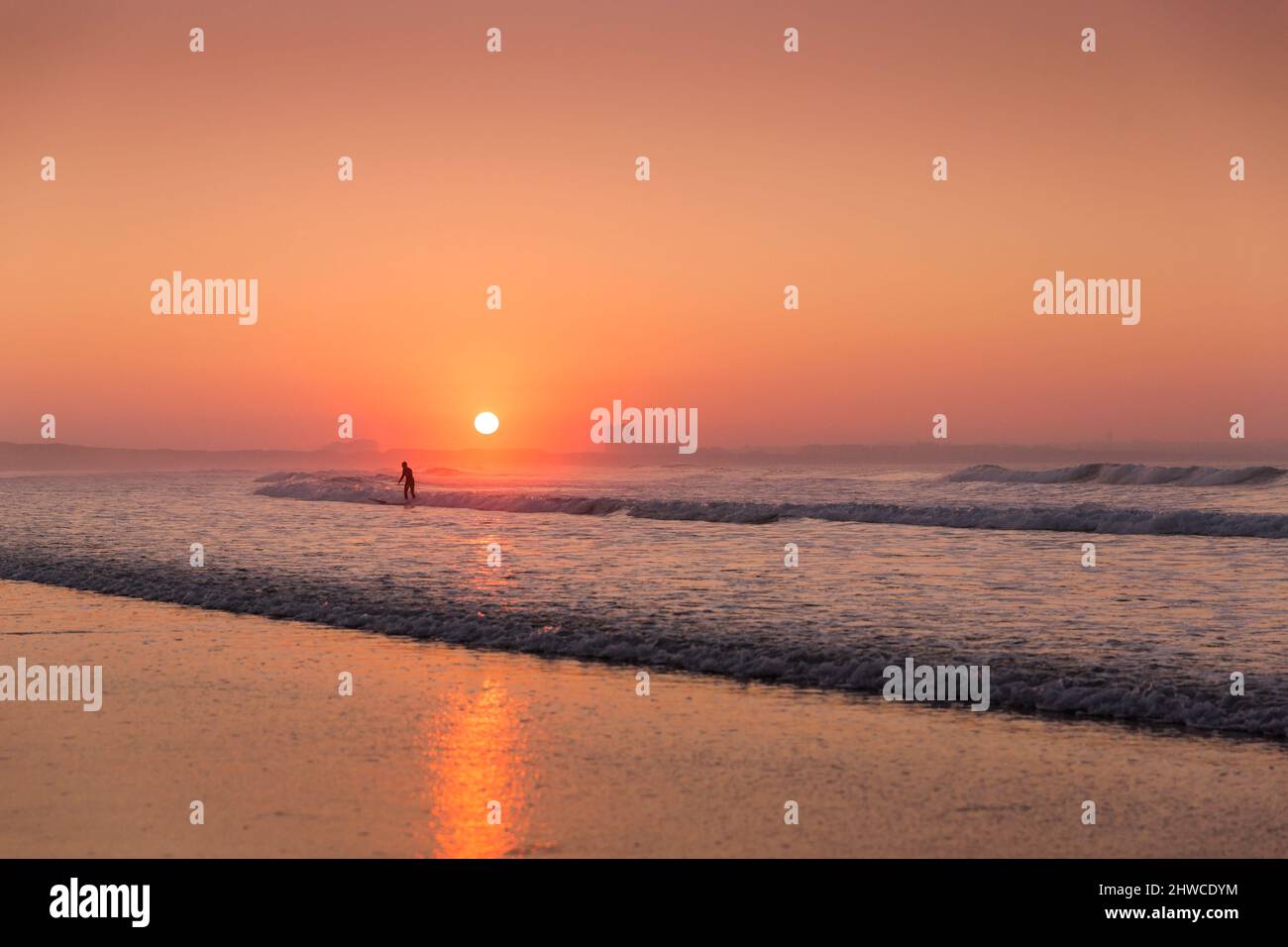 Surf le onde al tramonto Foto Stock