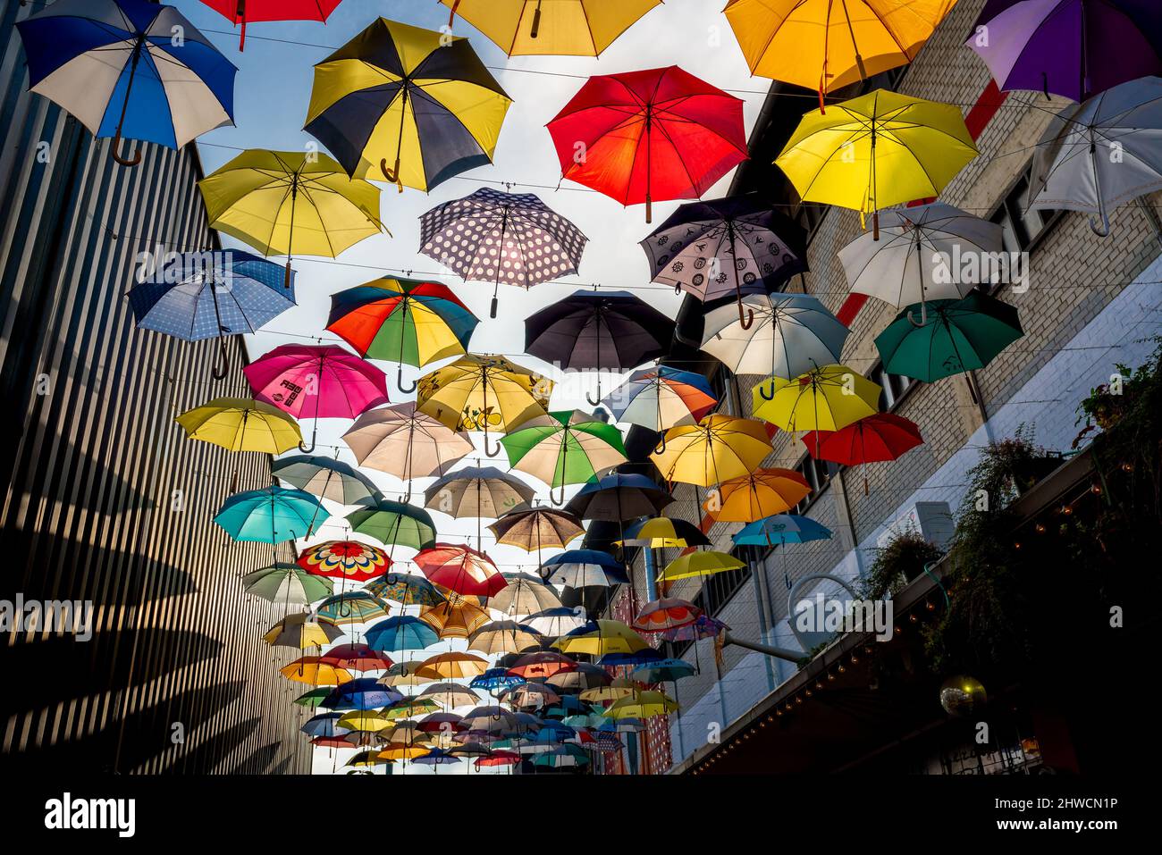 Ombrelloni colorati al Ristorante Gerold Cuchi - Zurigo, Svizzera Foto Stock