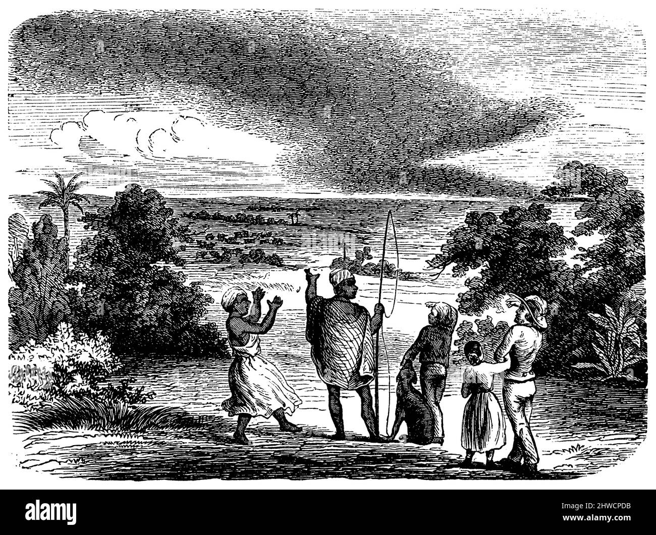 Locusto migratorio, migrazione della locusta migratoria a Kaffraria, l'area appartenente alla British Cape Colony tra la British Kaffraria, i distretti di Queenstown e Wodehouse, Basutoland, Natal Colony e l'Oceano Indiano, Locusta migratoria, (, ), Wanderheuschrecke, Wanderheuschreckenzug in Kaffraria, dem zur britischen Kapkolonie gehörendes Gebiet zwischen Britisch-Kaffraria, den Distrikten Queenstown und Wodehouse, Basutoland, der Kolonie Natal und dem Indischen Ozean, Criquet migrateur, Migration des criquets de la résituanque du Cap de la résituanque Foto Stock