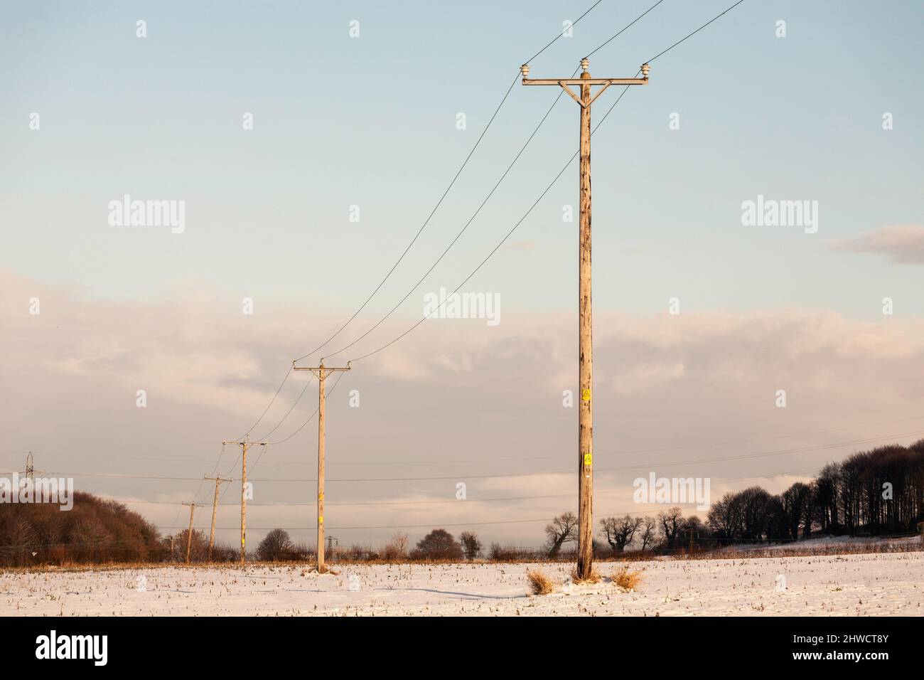 Le linee elettriche aeree trasportavano una serie di pali di legno, Inghilterra nord-orientale, Regno Unito Foto Stock