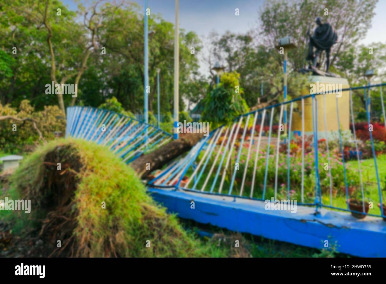 Immagine sfocata di Kolkata, Bengala Occidentale, India. Super ciclone Amphan ha sradicato albero che caduto a terra e toccato la statua di Mahatma Gandhi. Foto Stock