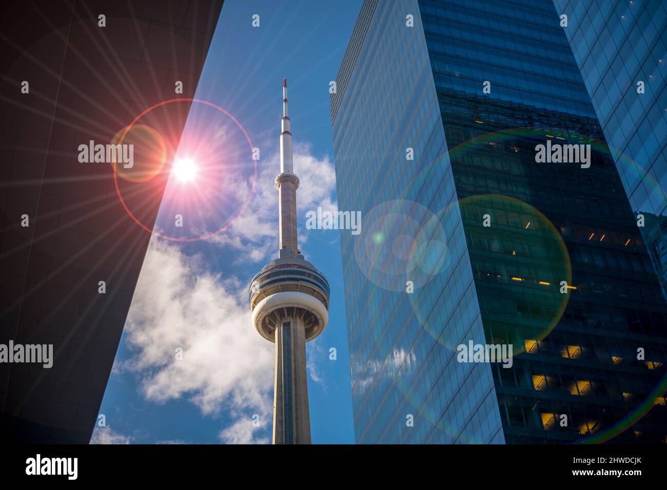 Toronto CN Tower illuminata di notte Foto Stock