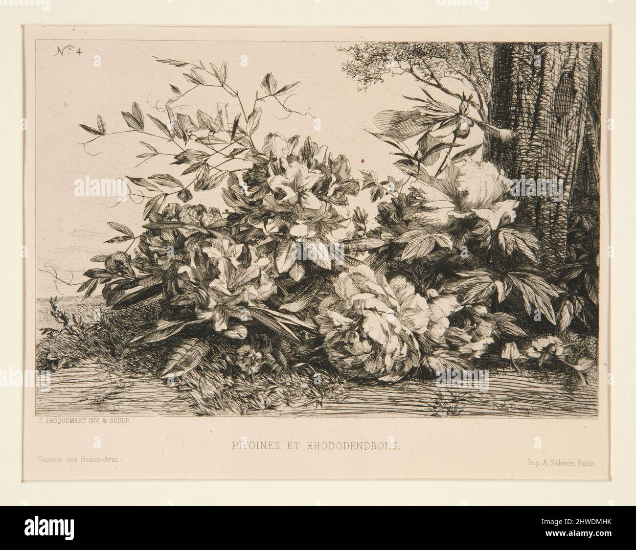 Pivoines et Rhododendrons. Artista: Jules Ferdinand Jacquemart, francese, 1837–1880 Foto Stock