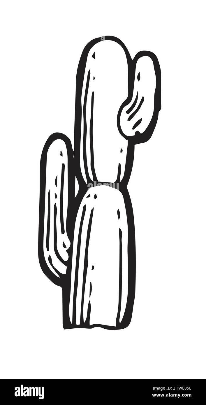 Grande cactus prickly. Una pianta meridionale esotica dal deserto. Schizzo di contorno. Il disegno a mano è isolato su sfondo bianco. Vettore Illustrazione Vettoriale